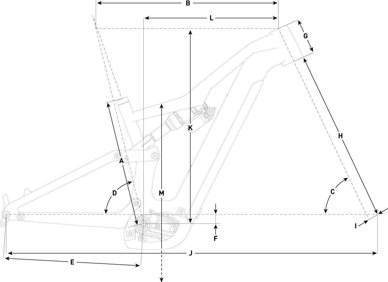 diagramma-bici https://www.snupers.com/wp-content/uploads/2019/12/diagramma-bici.png
