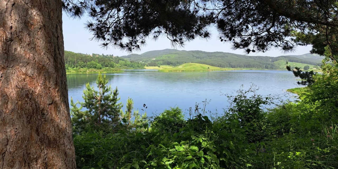PEDALARE TRA I LAGHI DELLA SILA