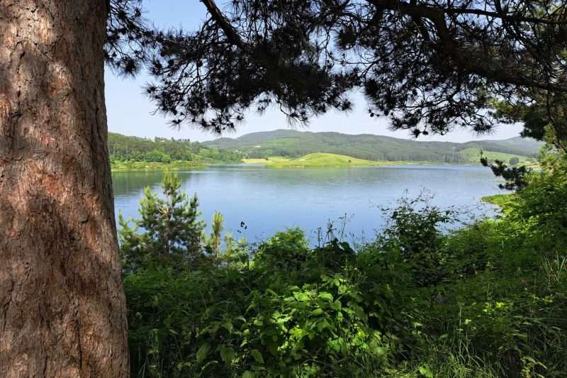 PEDALARE TRA I LAGHI DELLA SILA