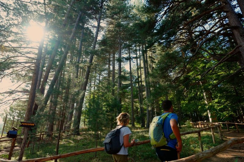 IN CAMMINO SUL SENTIERO ITALIA