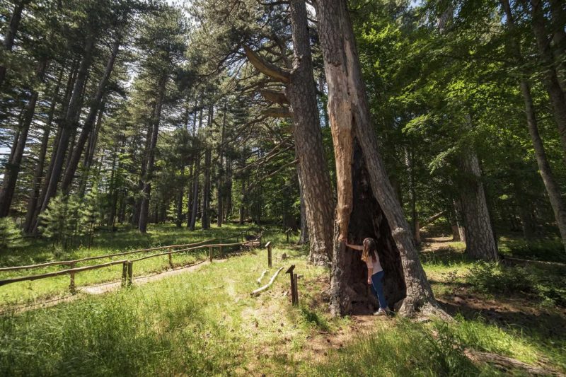 E-BIKE TRA I GIGANTI DELLA SILA