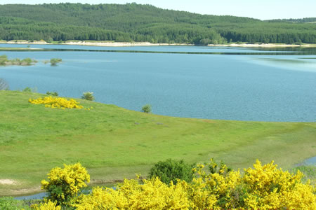 https://www.snupers.com/wp-content/uploads/2025/03/lago-cecita-hm.jpg