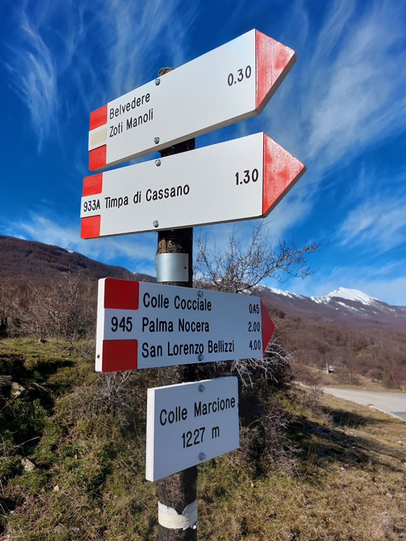 https://www.snupers.com/wp-content/uploads/2025/03/pollino.jpg